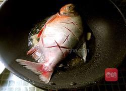 红烧鳊鱼的做法图解5