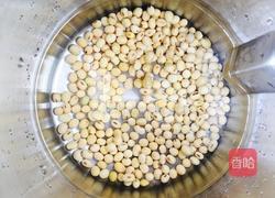 黄豆原味豆浆的做法图解5