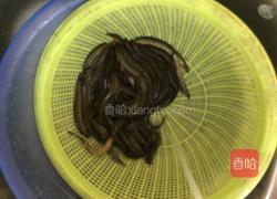 双椒炒泥鳅的做法图解2