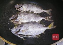 香煎泥猛鱼的做法图解3