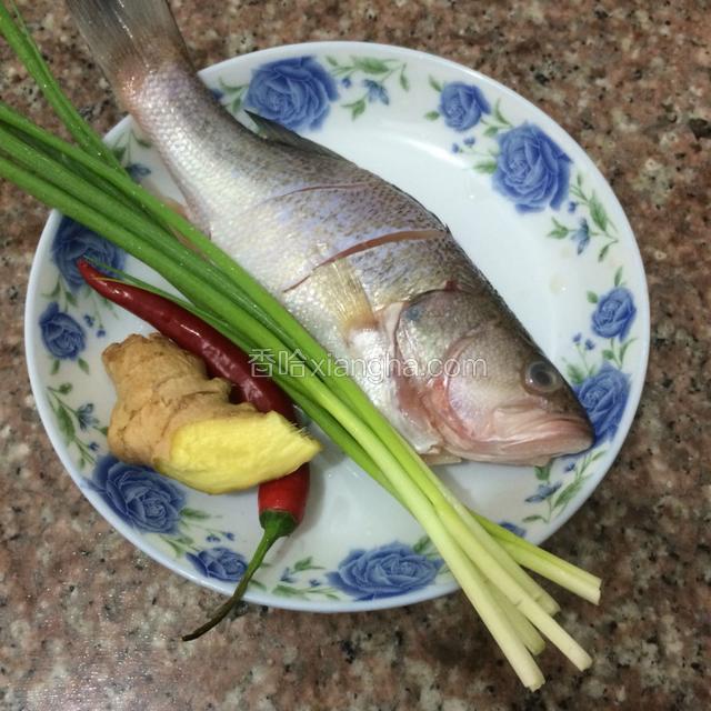 准备好食材，鲈鱼，葱，红椒，姜。