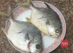 家常红烧鲳鱼的做法图解3