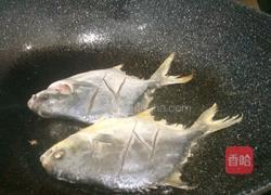 家常红烧鲳鱼的做法图解4