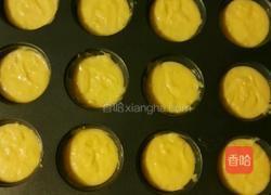 香草芝士迷你蛋糕的做法图解9