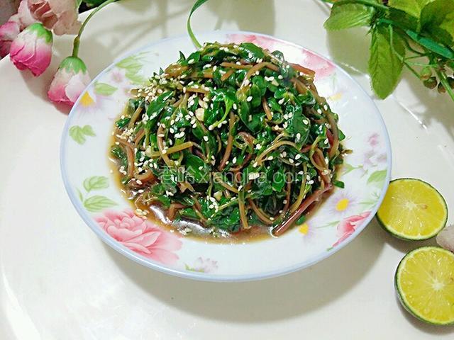 凉拌马齿苋