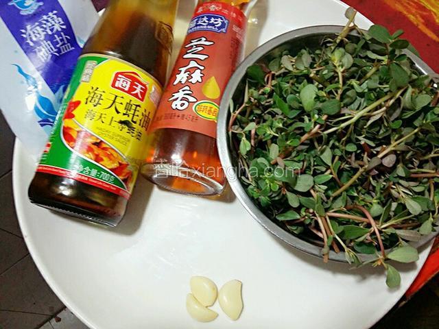 把食材和部分调料准备好，马齿苋清洗干净，用手掐成三寸长左右