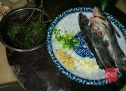 紫苏炖黄骨鱼汤的做法图解1