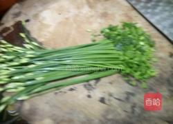 韭苔鸡蛋饼的做法图解1