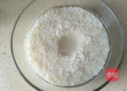 甜酒酿的做法图解8