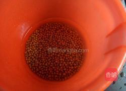 绿豆排骨汤的做法图解1