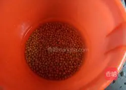 绿豆排骨汤的做法图解1