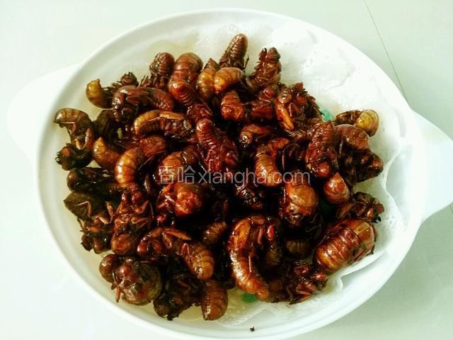 准备盘子，把刚刚炸控了油的知了猴倒盘子里，底有吸油纸。
