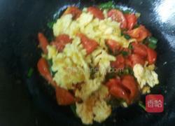 西红柿鸡蛋的做法图解7