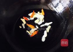 番茄胡蘿卜燉牛腩的做法圖解4