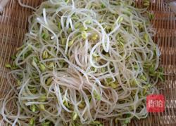 凉拌黄豆芽的做法图解7