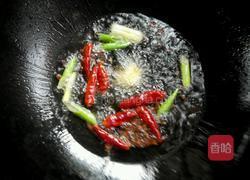 清炖鲤鱼的做法图解5