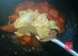 木须柿子的做法图解11