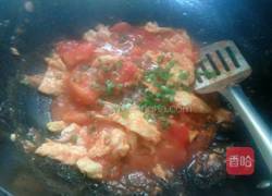 木须柿子的做法图解12