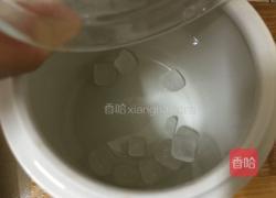 木瓜牛奶的做法图解5