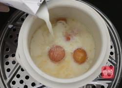 木瓜牛奶的做法图解10