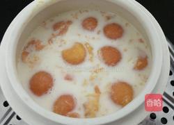 木瓜牛奶的做法图解11