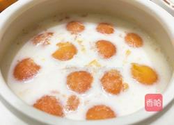 木瓜牛奶的做法图解13