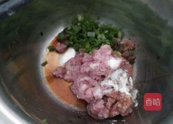 白菜饺子的做法图解8