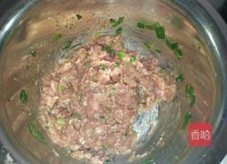 白菜饺子的做法图解12