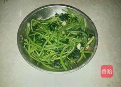 清炒红薯叶的做法图解5