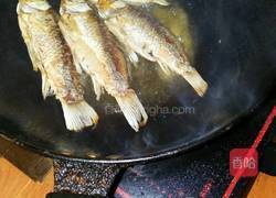 鲫鱼小火锅的做法图解4