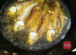 鲫鱼小火锅的做法图解5