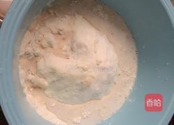 水煎包（韭菜豆芽肉馅）的做法图解1