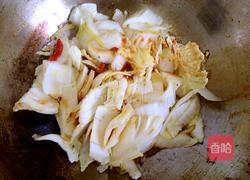 酸辣大白菜的做法图解7