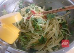呛拌香菜土豆丝的做法图解16