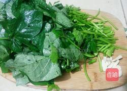 炒红薯叶的做法图解3