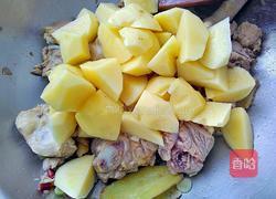 土豆炖鸡的做法图解7