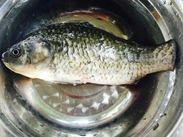 鲫鱼去掉鳞片，内脏，剪去鱼鳍，清洗干净。