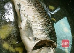 萝卜丝鲫鱼汤的做法图解8