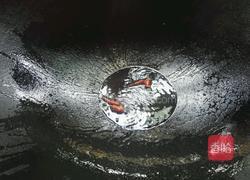 酸辣青椒肉丝的做法图解7