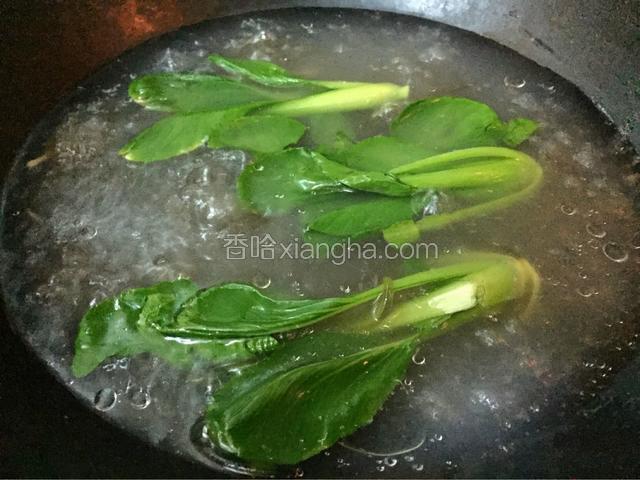 锅中烧水，加入一匙油水开放入冷水泡软的粉丝煮至无硬心放入油菜焯熟