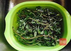 马齿苋汤的做法图解1