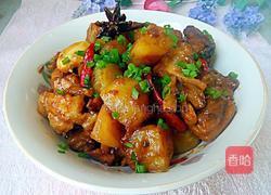 鸡肉炖土豆的做法图解12