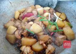 鸡肉炖土豆的做法图解11