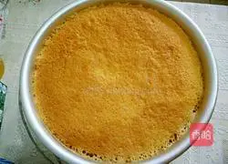 Sponge Cake Recipe Illustration 8