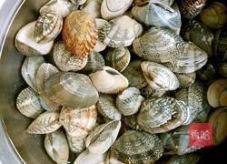 蛤蜊黄瓜汤的做法图解1