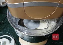 自制生煎包的做法图解1