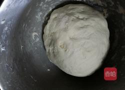 自制生煎包的做法图解2