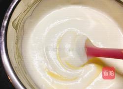 酸奶芒果慕斯蛋糕的做法图解15