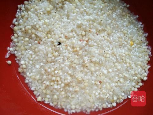 大米和高粱米冲洗干净控水。