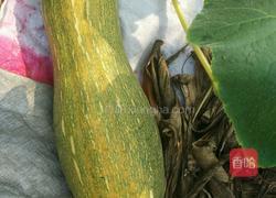 清凉南瓜羹的做法图解1